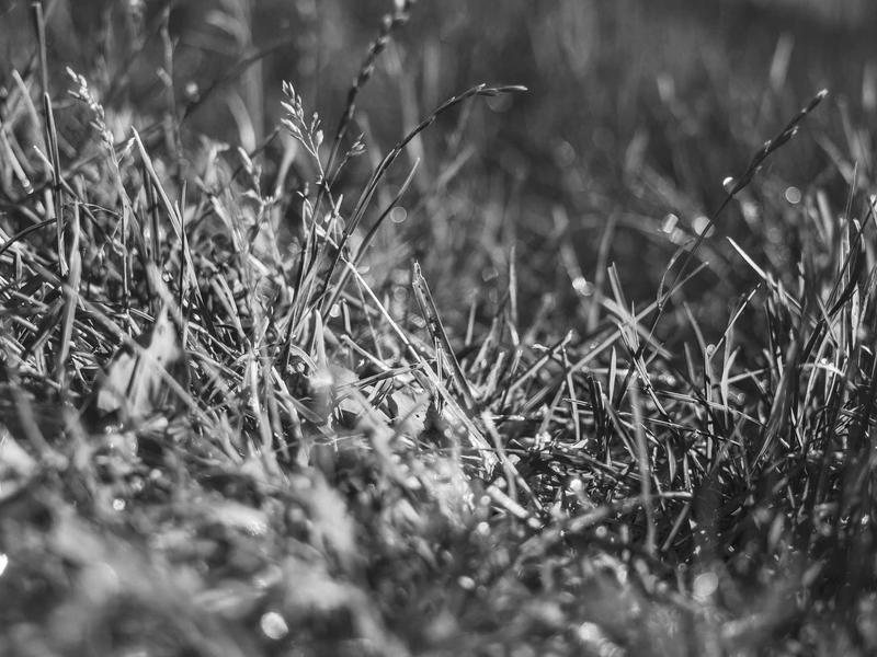 sudoku number placement